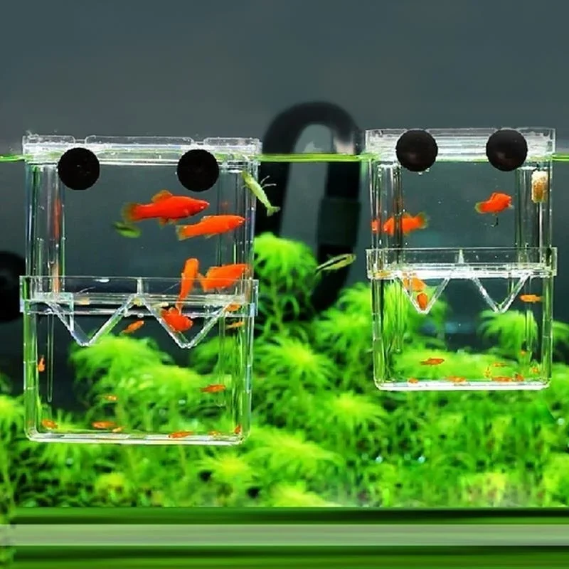 Multifunctional Fish Aquarium  - Aquarium Fish In Bowl avaliação e preço