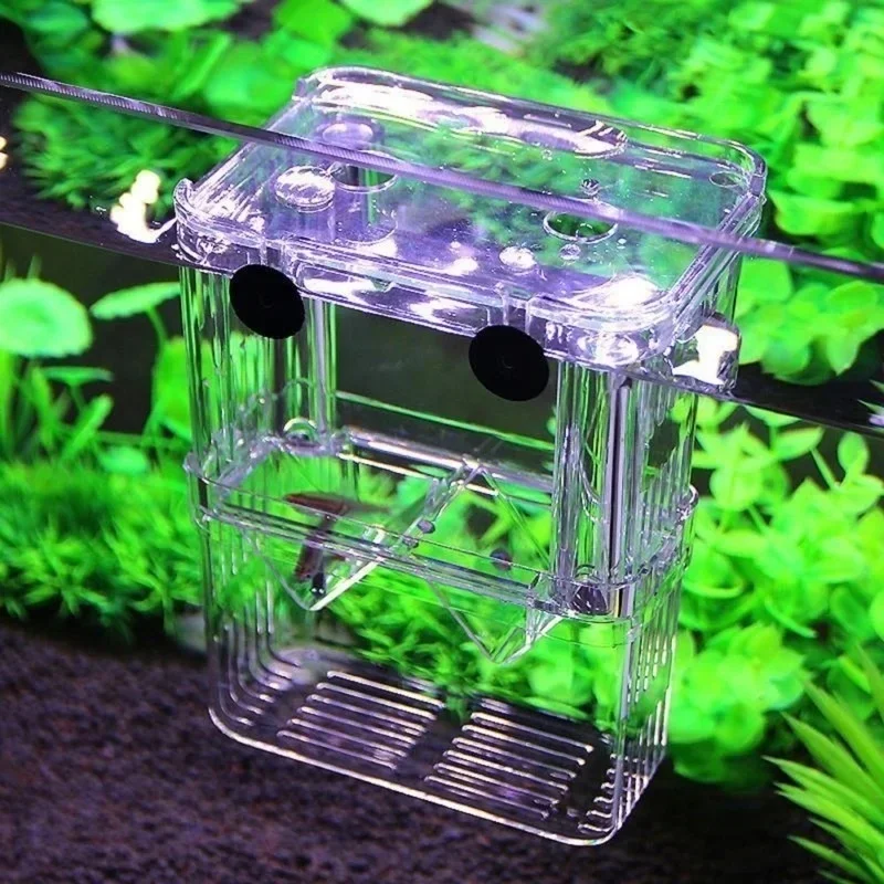 Multifunctional Fish Aquarium  - Aquarium Fish In Bowl avaliação e preço