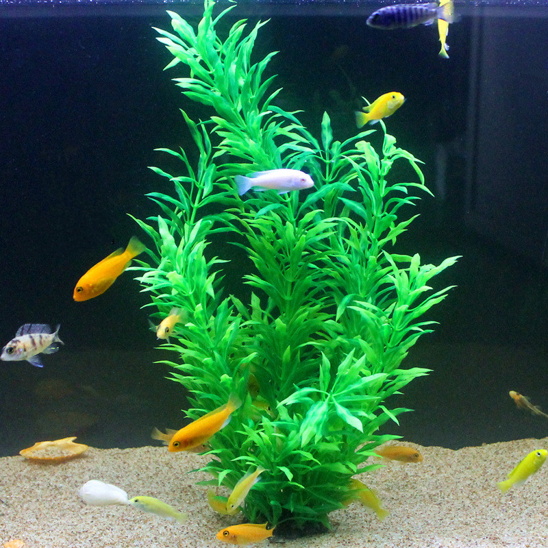 50CM Artificial Fish Tank Rare - Aquarium Fish Gallery avaliação e preço