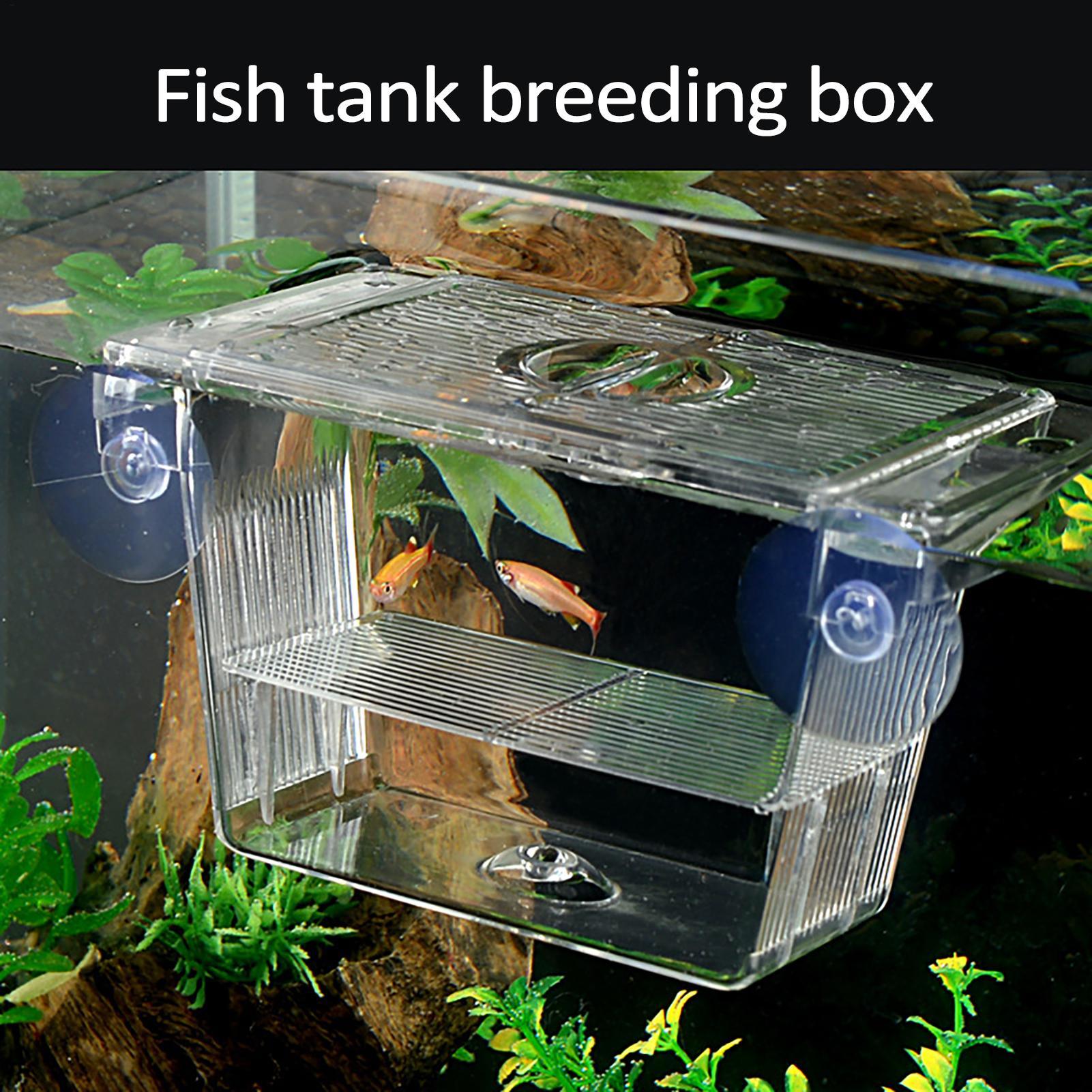 Breeder Box for Fish Tank Tran - Aquarium Fish In Bowl avaliação e preço