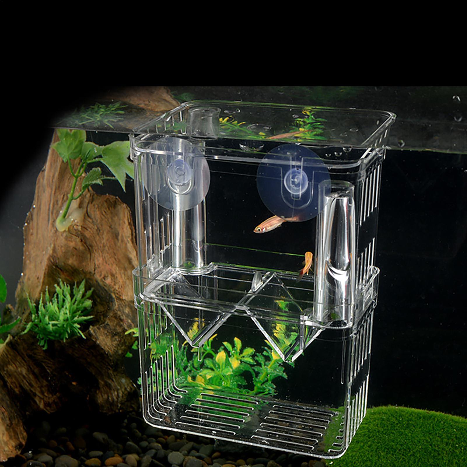 Breeder Box for Fish Tank Tran - Aquarium Fish In Bowl avaliação e preço