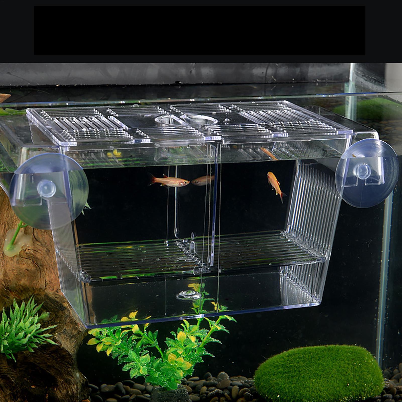 Breeder Box for Fish Tank Tran - Aquarium Fish In Bowl avaliação e preço