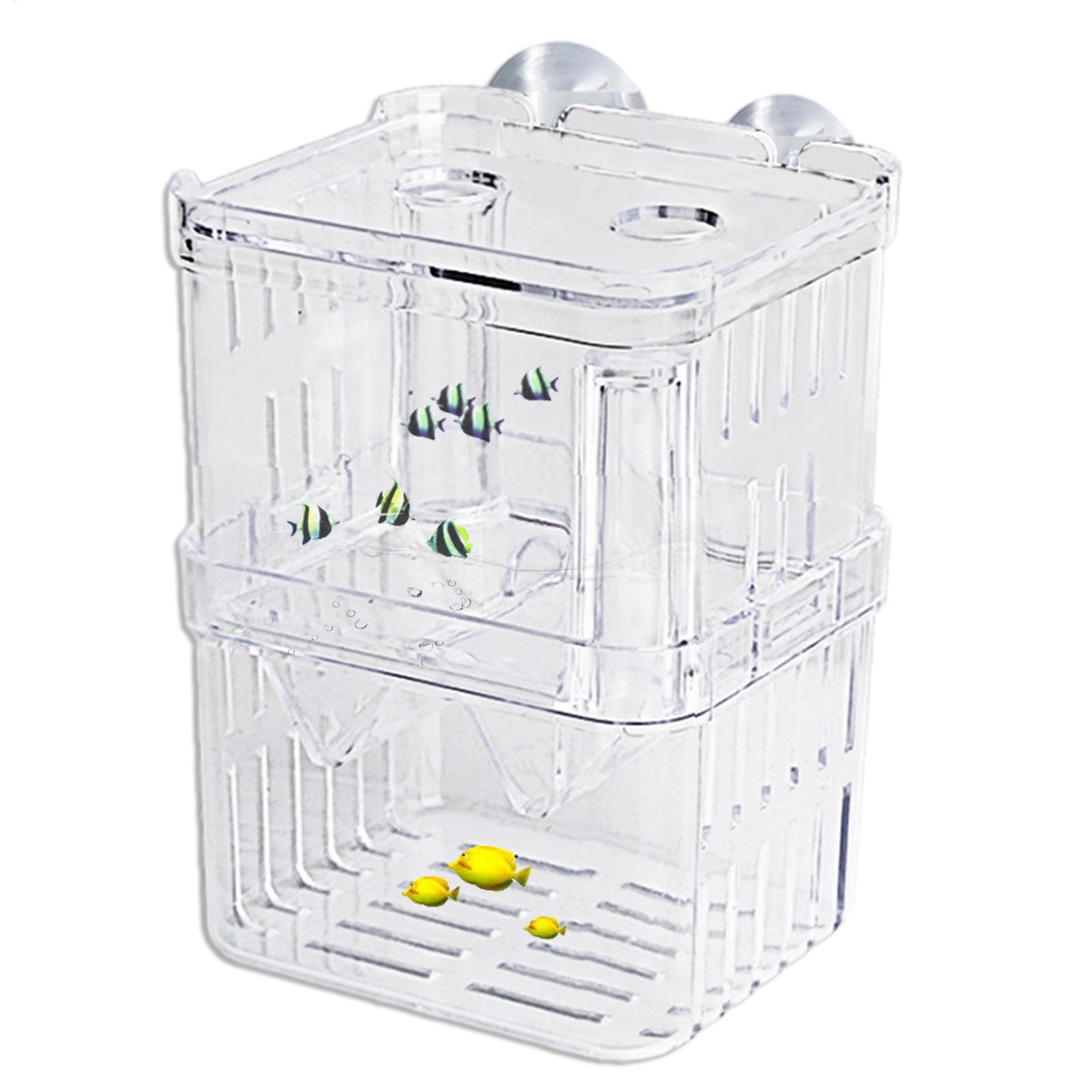 Breeder Box for Fish Tank Tran - Aquarium Fish In Bowl avaliação e preço