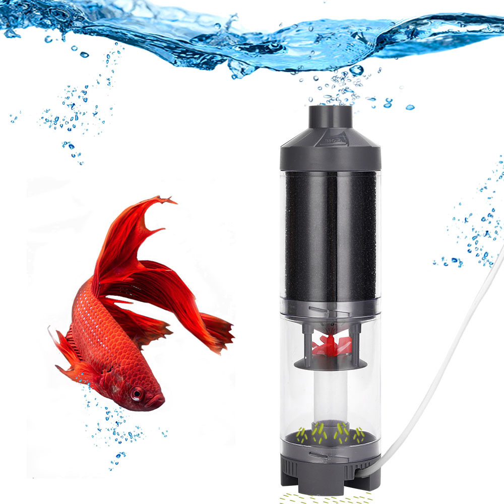 Popular Hot sell Aquarium Fish - Aquarium Fish Popular avaliação e preço