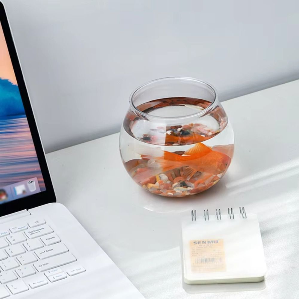 New Transparent Fish Tank Roun - Aquarium Fish In Bowl avaliação e preço
