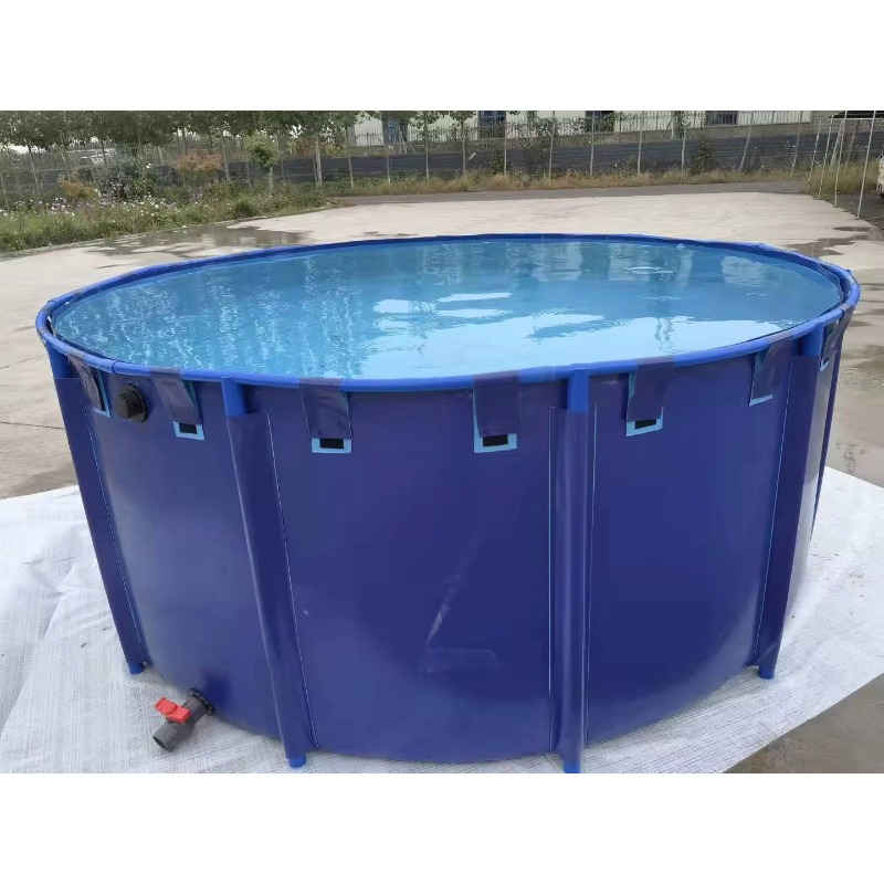 Wholesale Custom Outdoor Large - Aquarium Fish Popular avaliação e preço