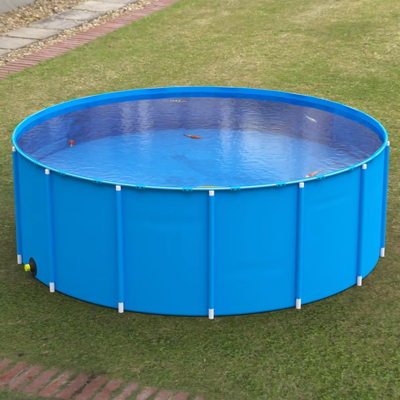 Wholesale Custom Outdoor Large - Aquarium Fish Popular avaliação e preço