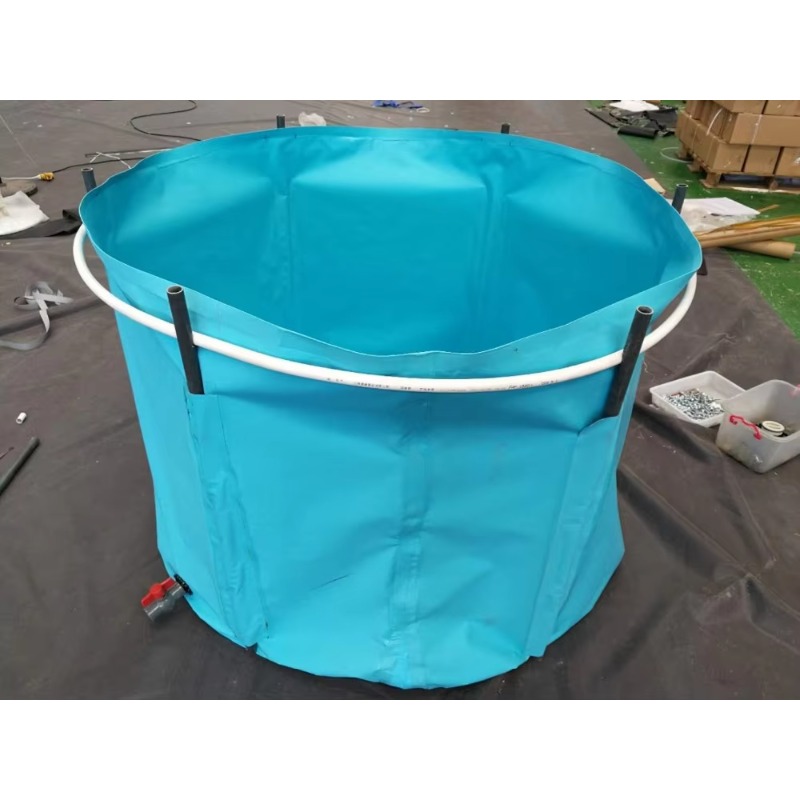 Wholesale Custom Outdoor Large - Aquarium Fish Popular avaliação e preço