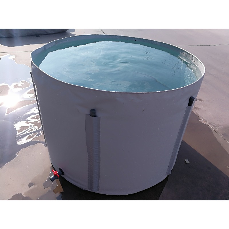 Wholesale Custom Outdoor Large - Aquarium Fish Popular avaliação e preço