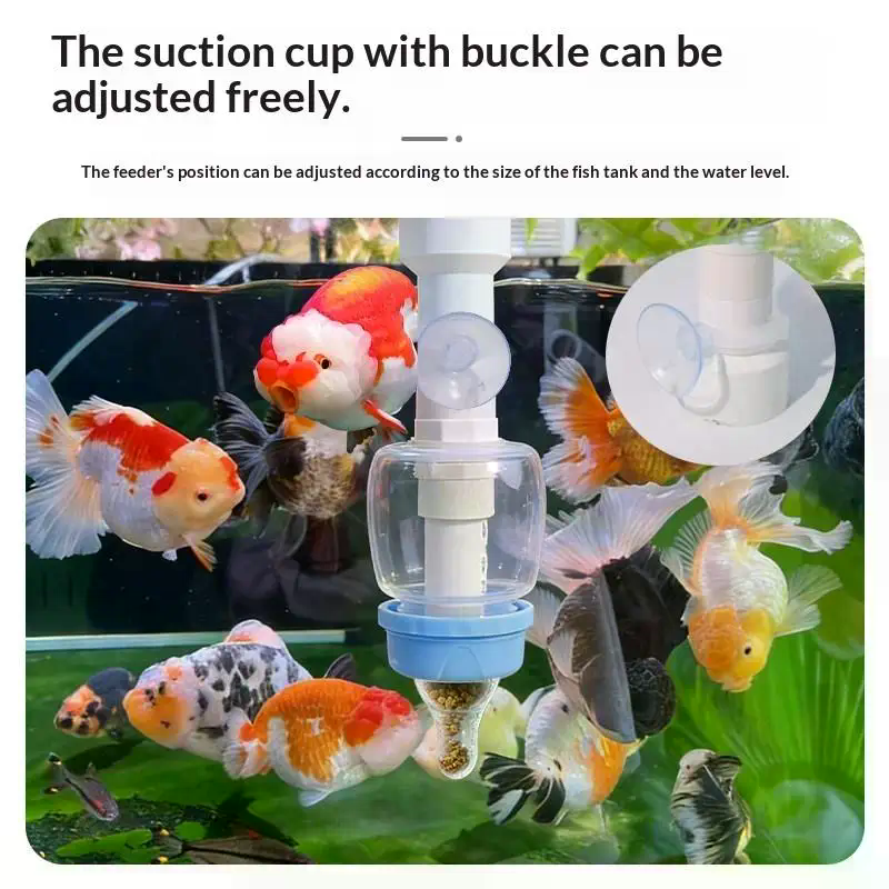 Popular Precise Fish Pacifier  - Aquarium Fish Popular avaliação e preço