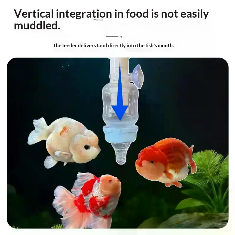 Popular Precise Fish Pacifier  - Aquarium Fish Popular avaliação e preço