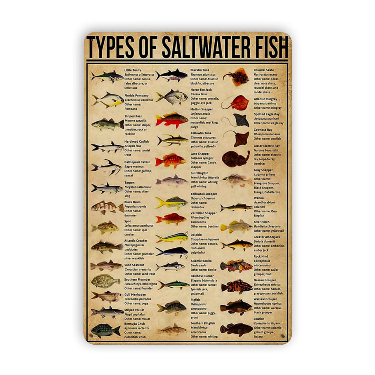 Metal Tin Signs Types Of Saltw - Aquarium Fish Popular avaliação e preço