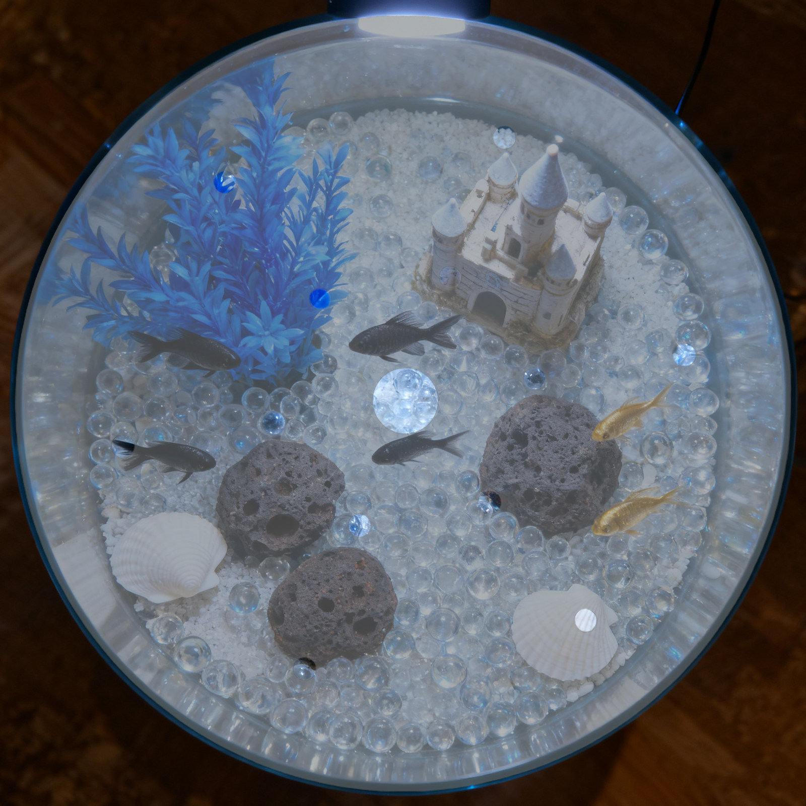 7 Inch Round Acrylic Fish Tank - Aquarium Fish In Bowl avaliação e preço