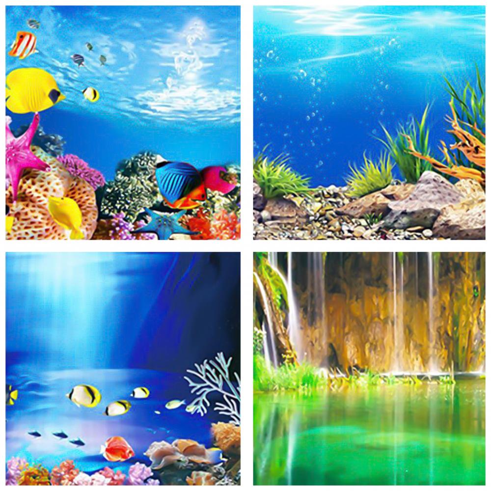 Aquarium Background Poster Oce - Aquarium Fish Poster avaliação e preço