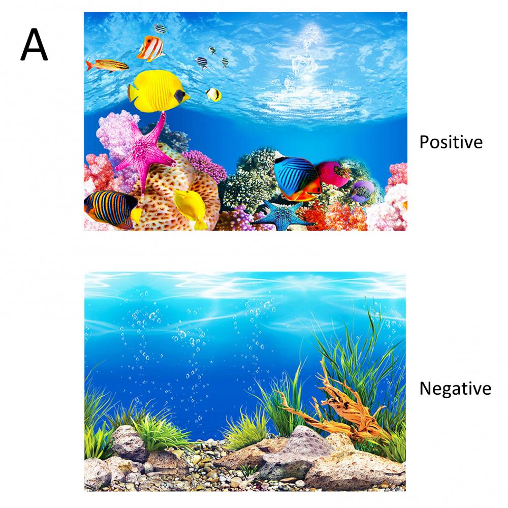 Aquarium Background Poster Oce - Aquarium Fish Poster avaliação e preço