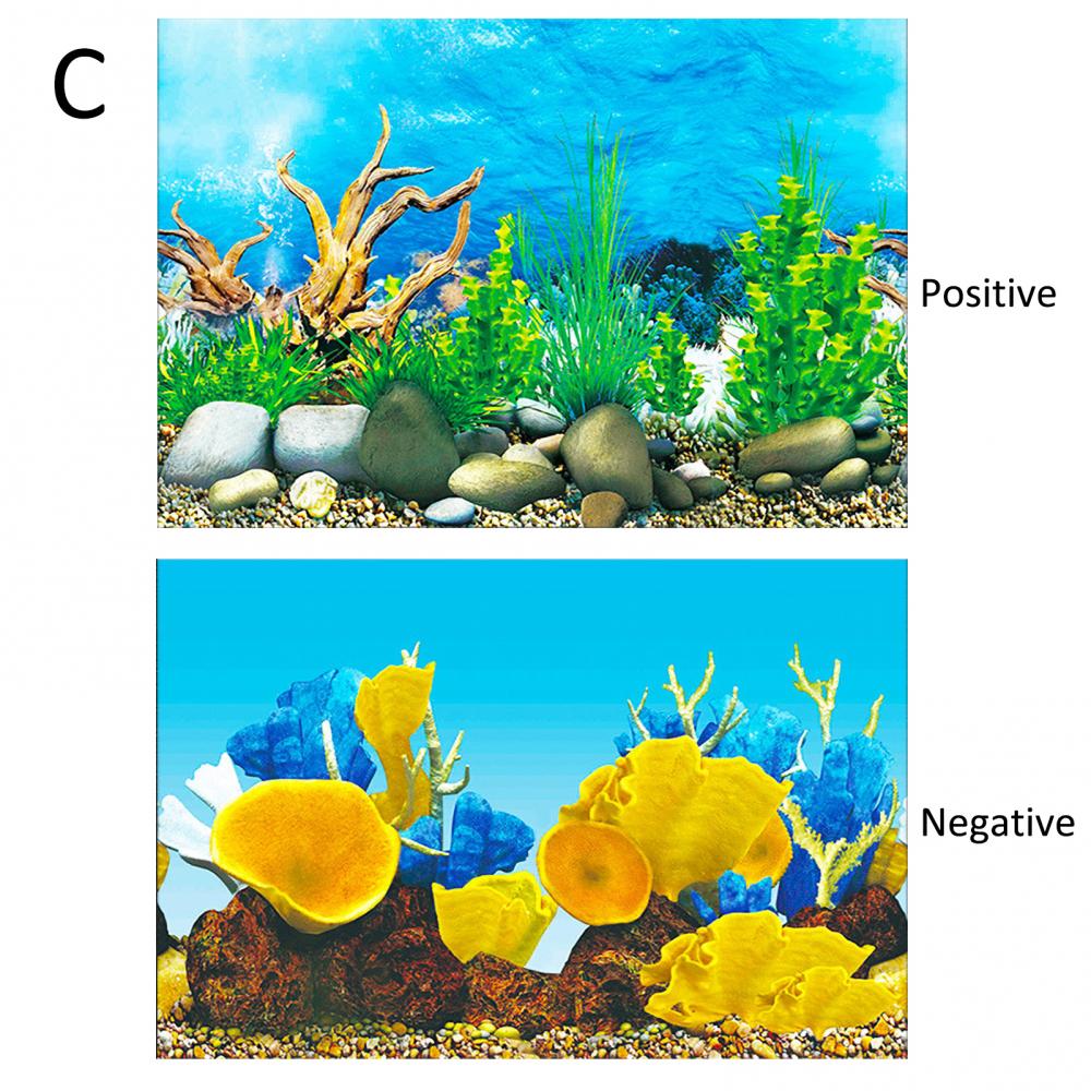 Aquarium Background Poster Oce - Aquarium Fish Poster avaliação e preço