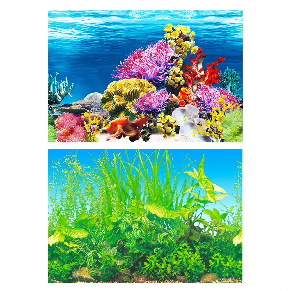Aquarium Background Poster Oce - Aquarium Fish Poster avaliação e preço
